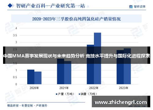 中国MMA赛事发展现状与未来趋势分析 竞技水平提升与国际化进程探索